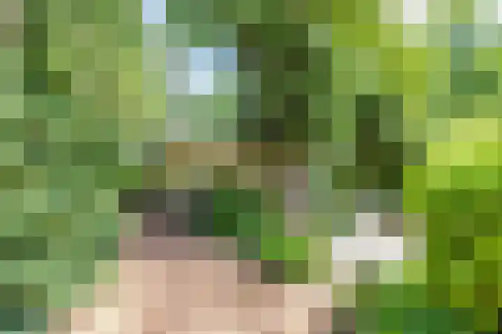 Boterpol 22 Wateren thumbnail 9