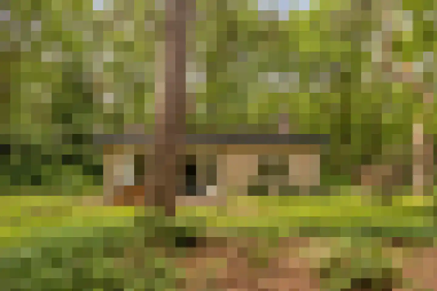 Boterpol 41 Wateren thumbnail 18