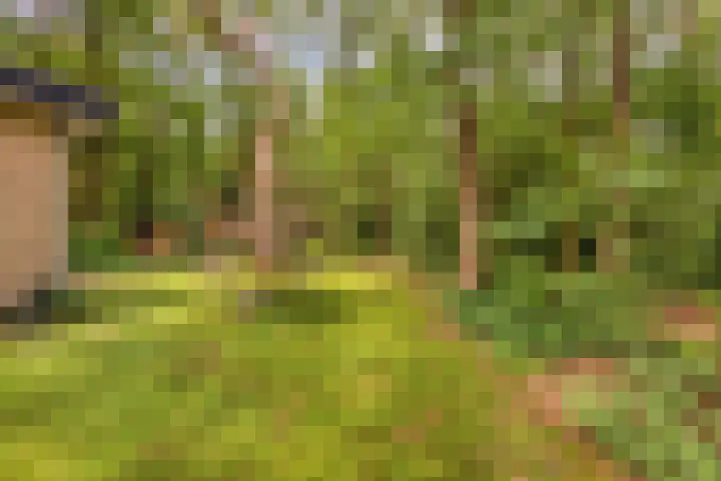 Boterpol 41 Wateren thumbnail 20