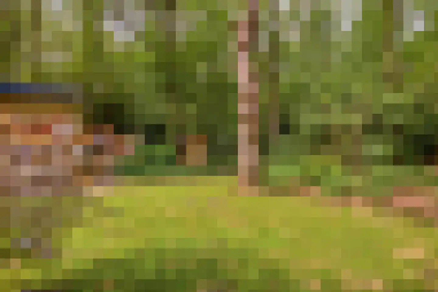 Boterpol 41 Wateren thumbnail 21