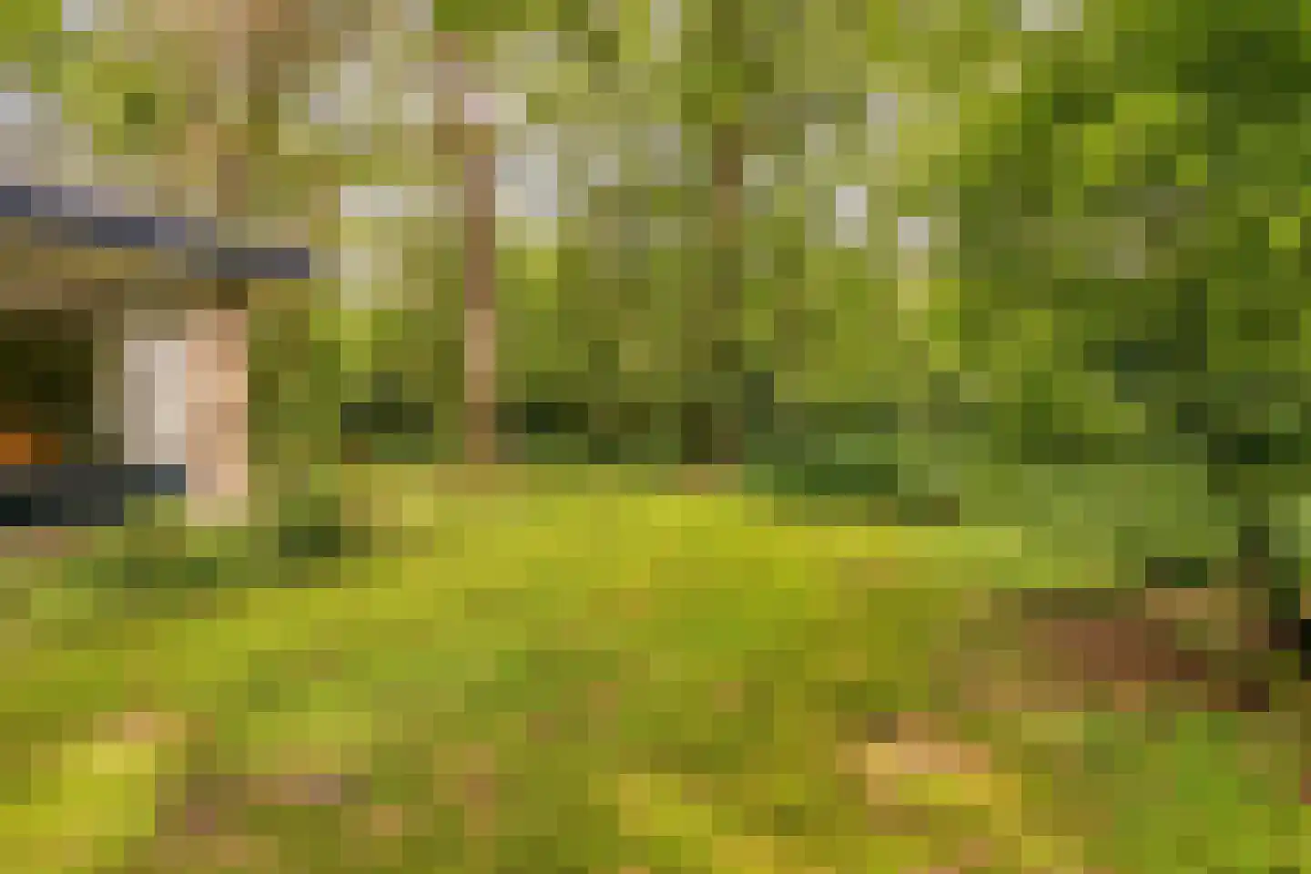 Boterpol 41 Wateren thumbnail 22
