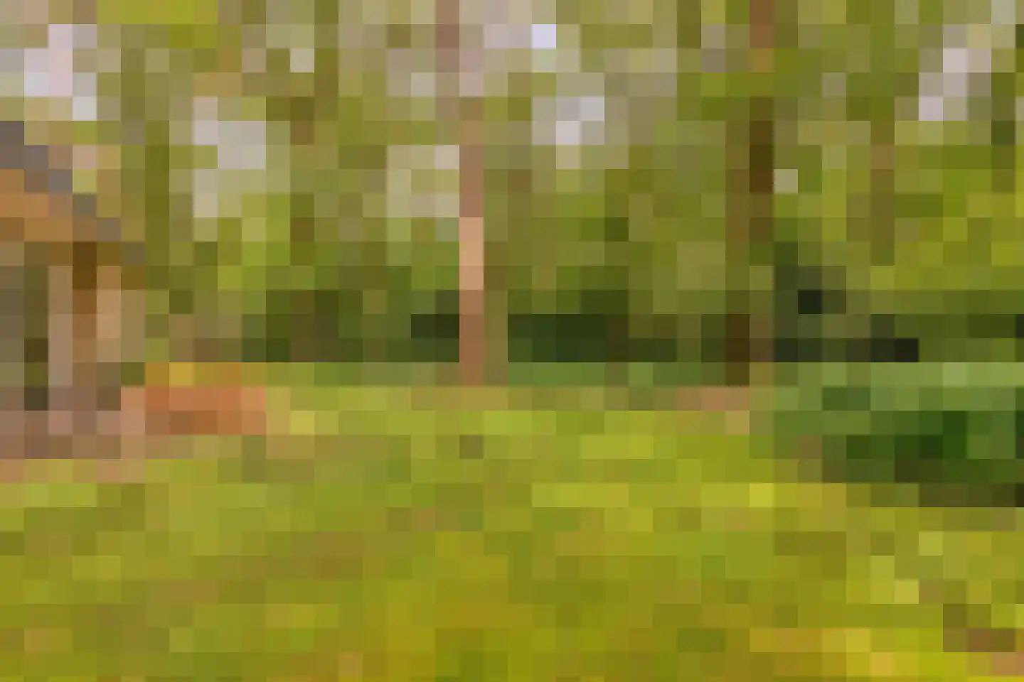 Boterpol 41 Wateren thumbnail 23
