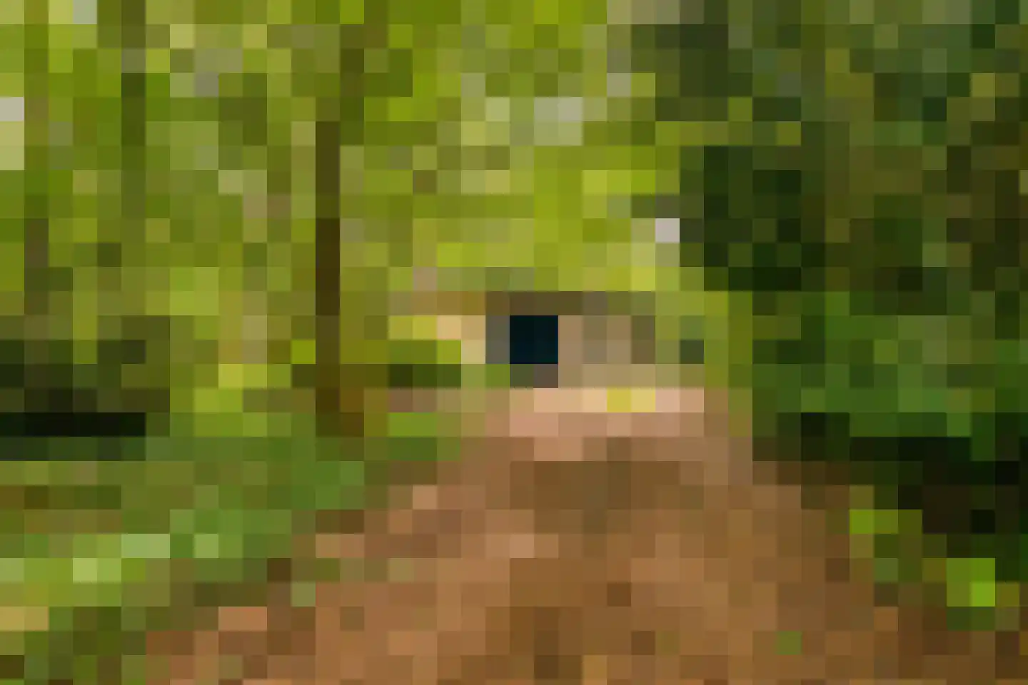 Boterpol 41 Wateren thumbnail 25
