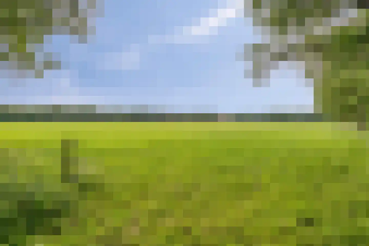 Boterpol 41 Wateren thumbnail 26