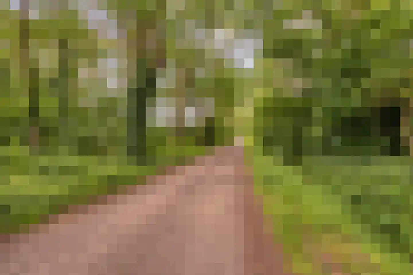 Boterpol 41 Wateren thumbnail 27