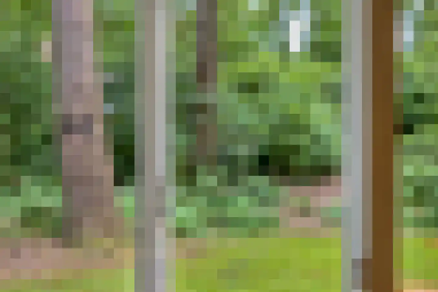 Boterpol 41 Wateren thumbnail 9