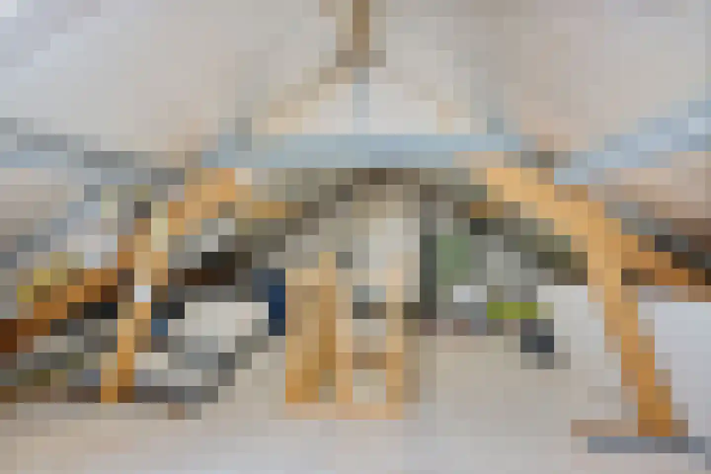 Boterpolderlaan 48 Raamsdonksveer thumbnail 35