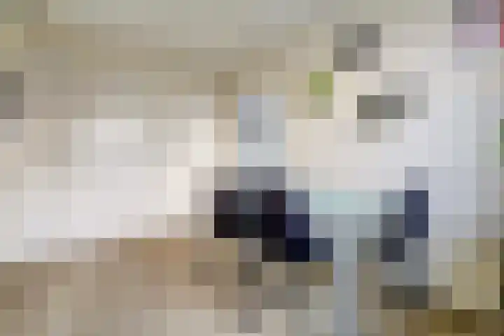 Boterpolderlaan 54 Raamsdonksveer thumbnail 7
