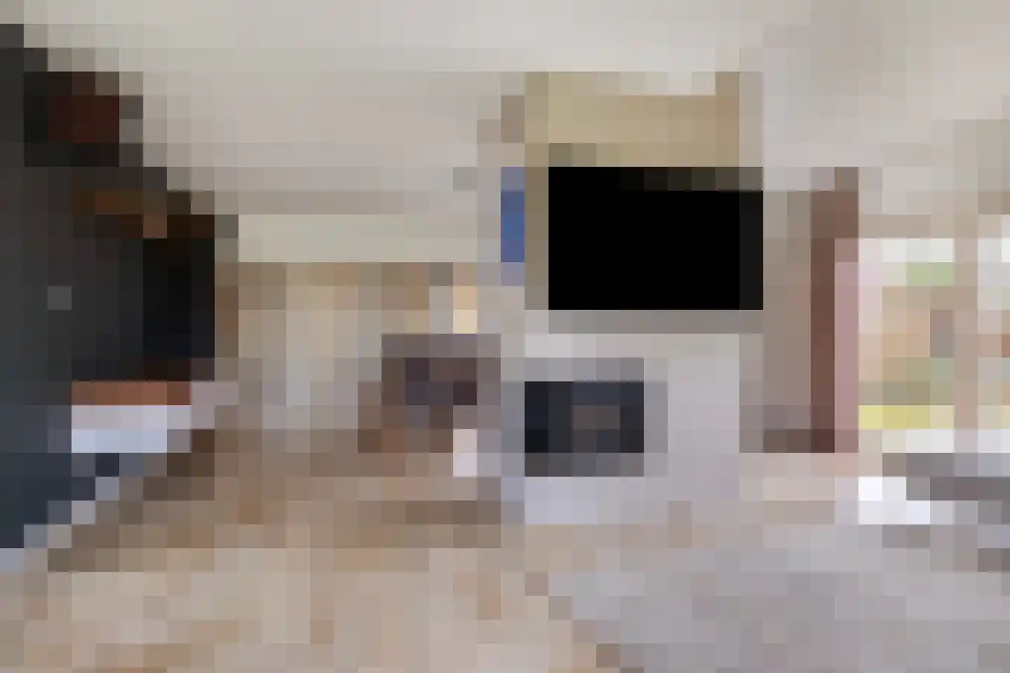 Boterpotten 4 Oudenbosch thumbnail 11