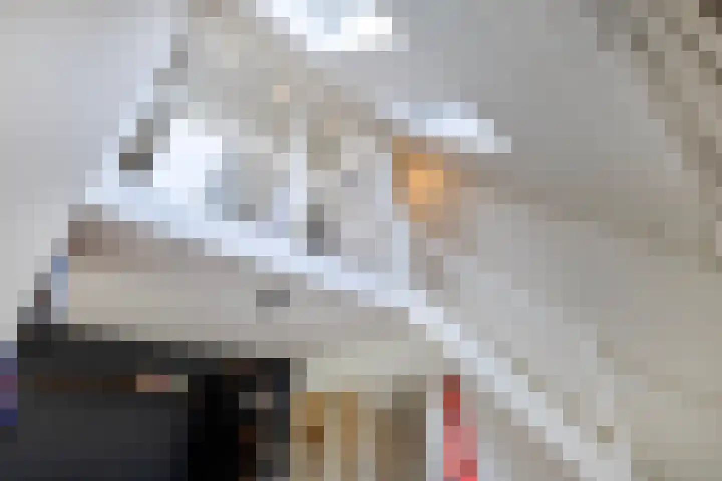 Boterpotten 4 Oudenbosch thumbnail 13
