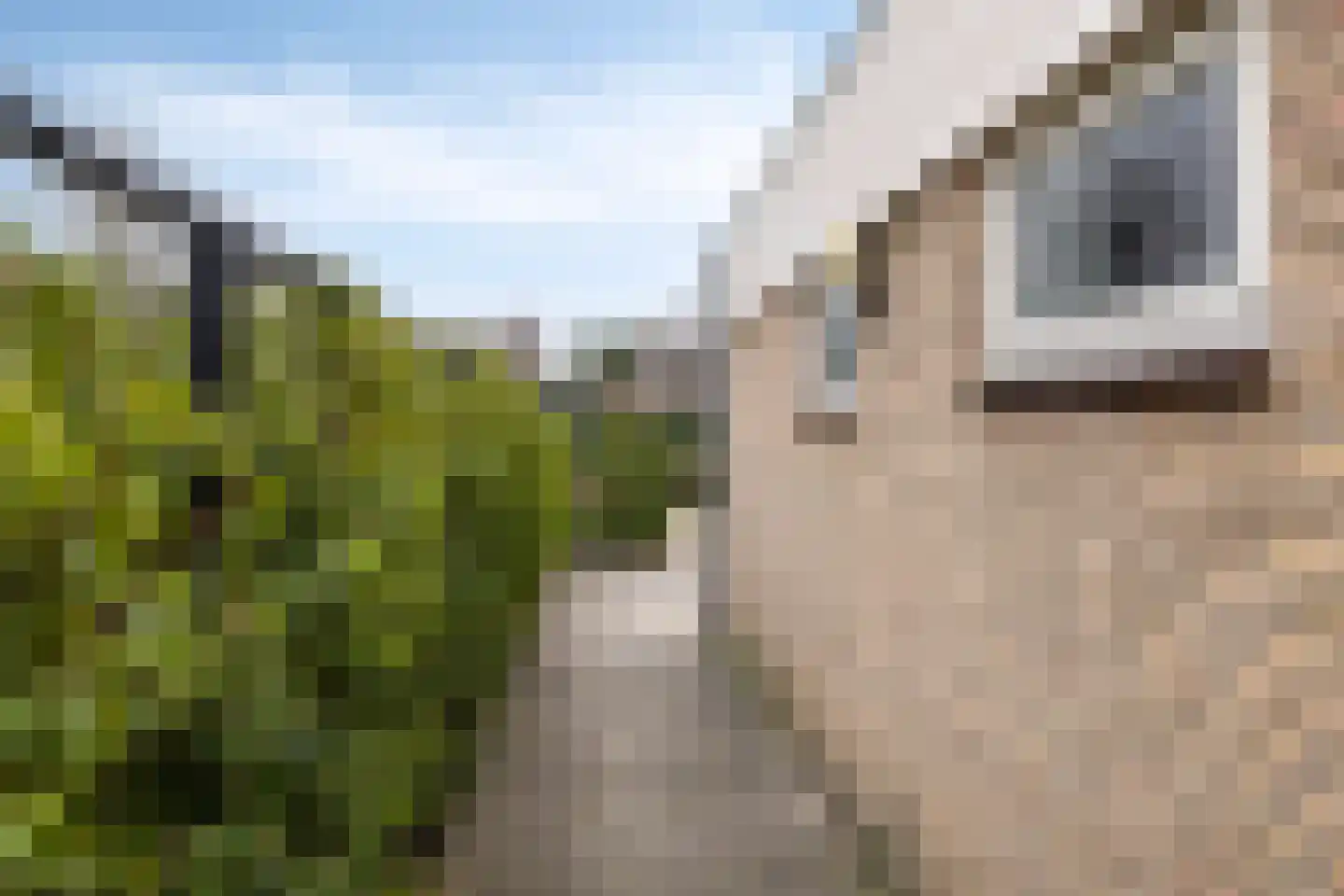 Boterpotten 4 Oudenbosch thumbnail 49