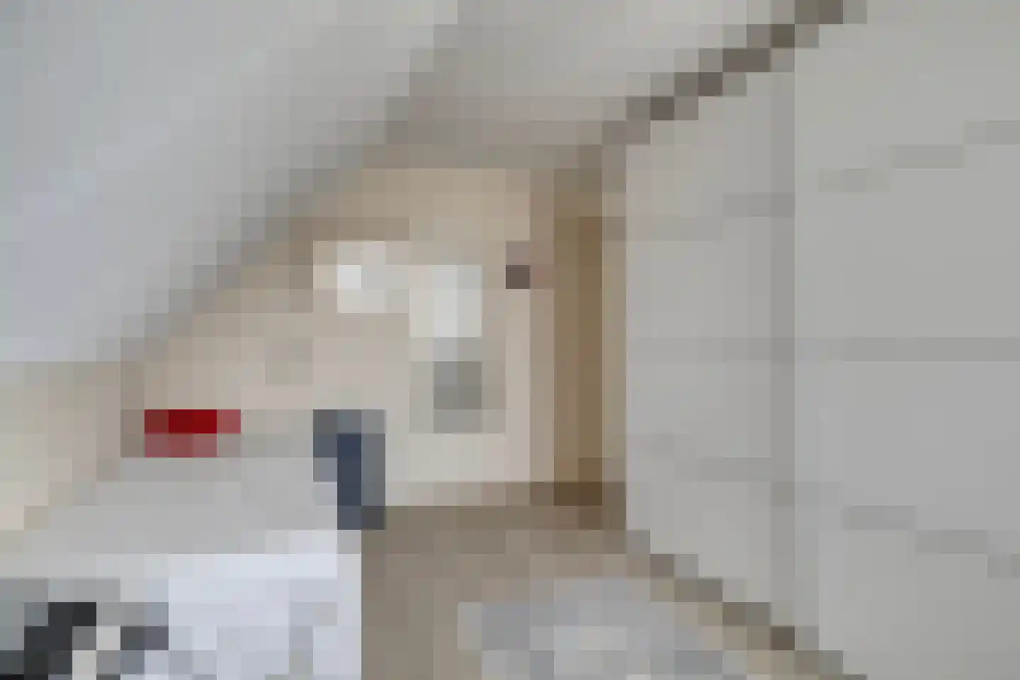 Boterpotten 5 Oudenbosch thumbnail 21
