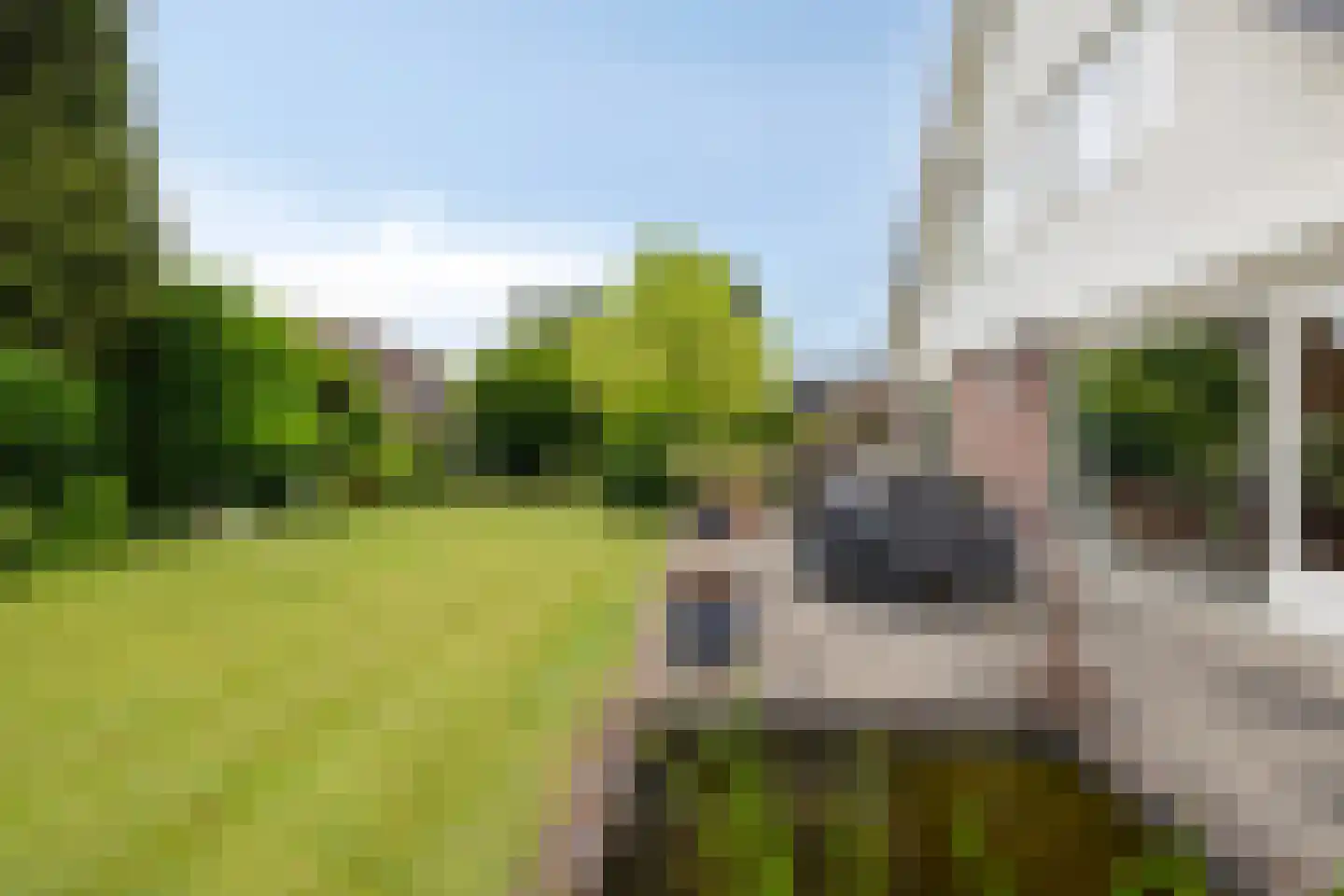 Boterpotten 5 Oudenbosch thumbnail 32