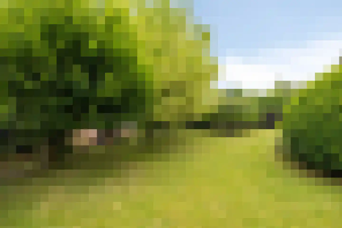 Boterpotten 5 Oudenbosch thumbnail 34