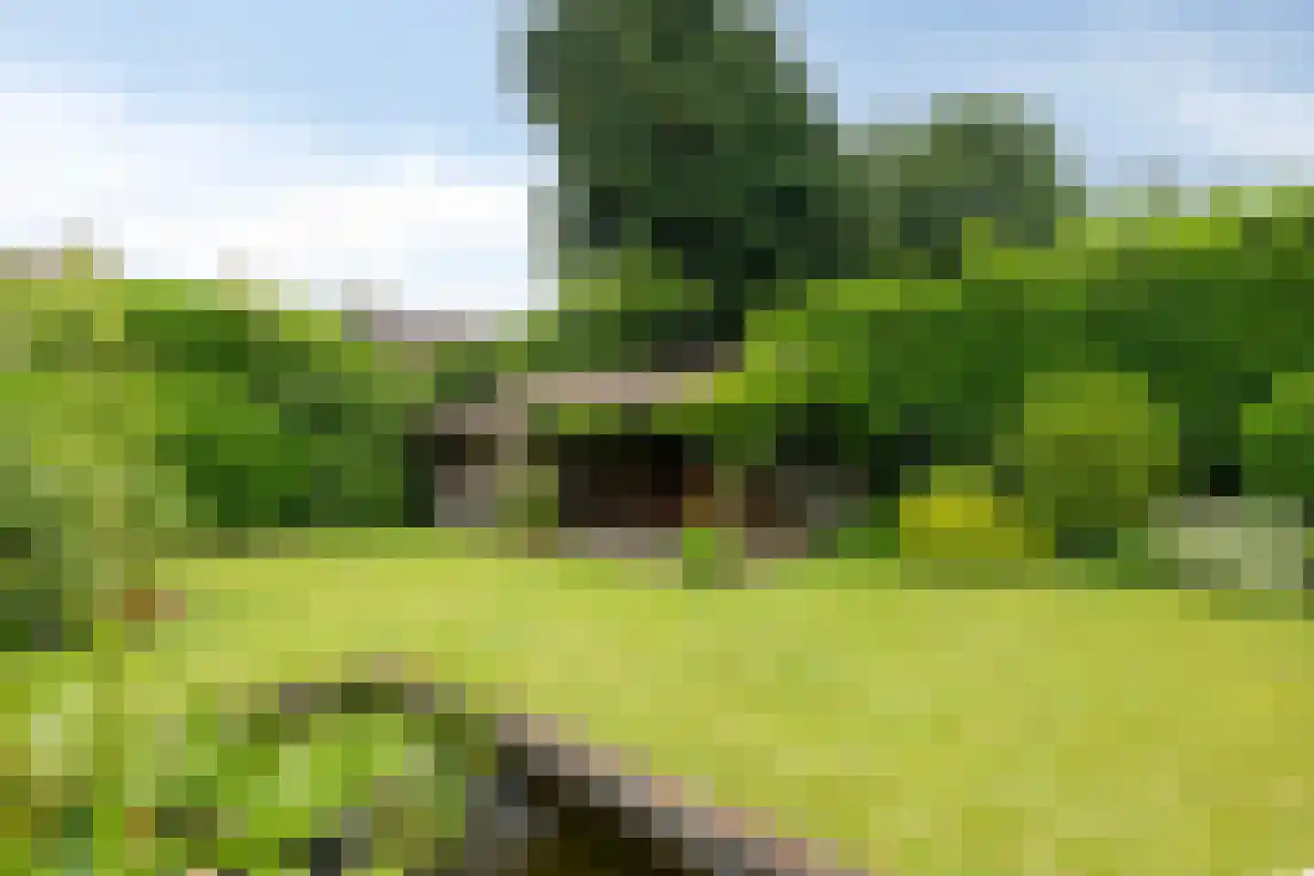 Boterpotten 5 Oudenbosch thumbnail 36