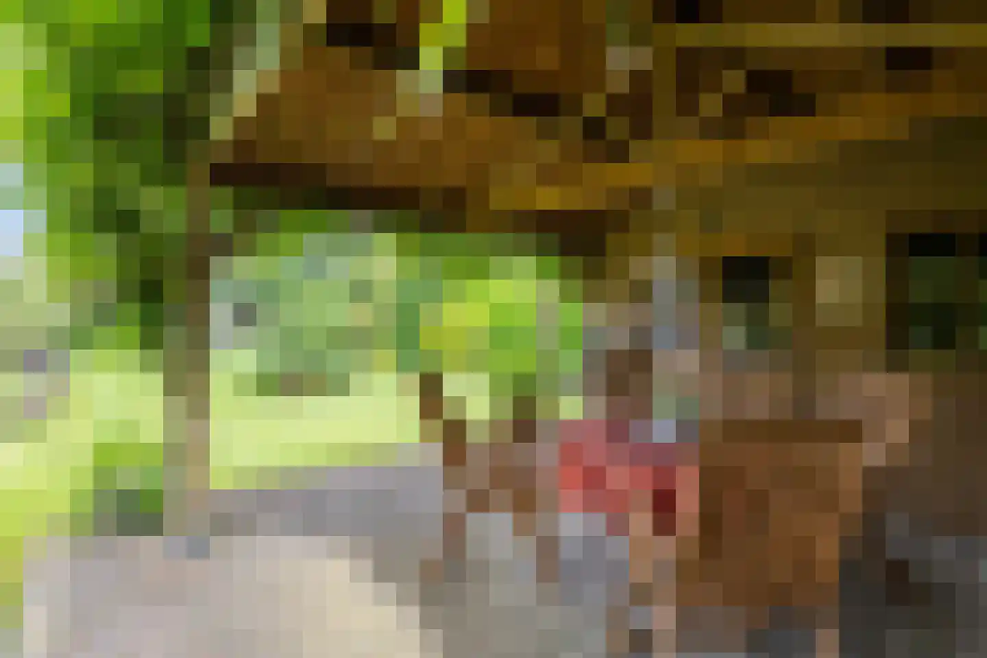 Boterpotten 5 Oudenbosch thumbnail 37