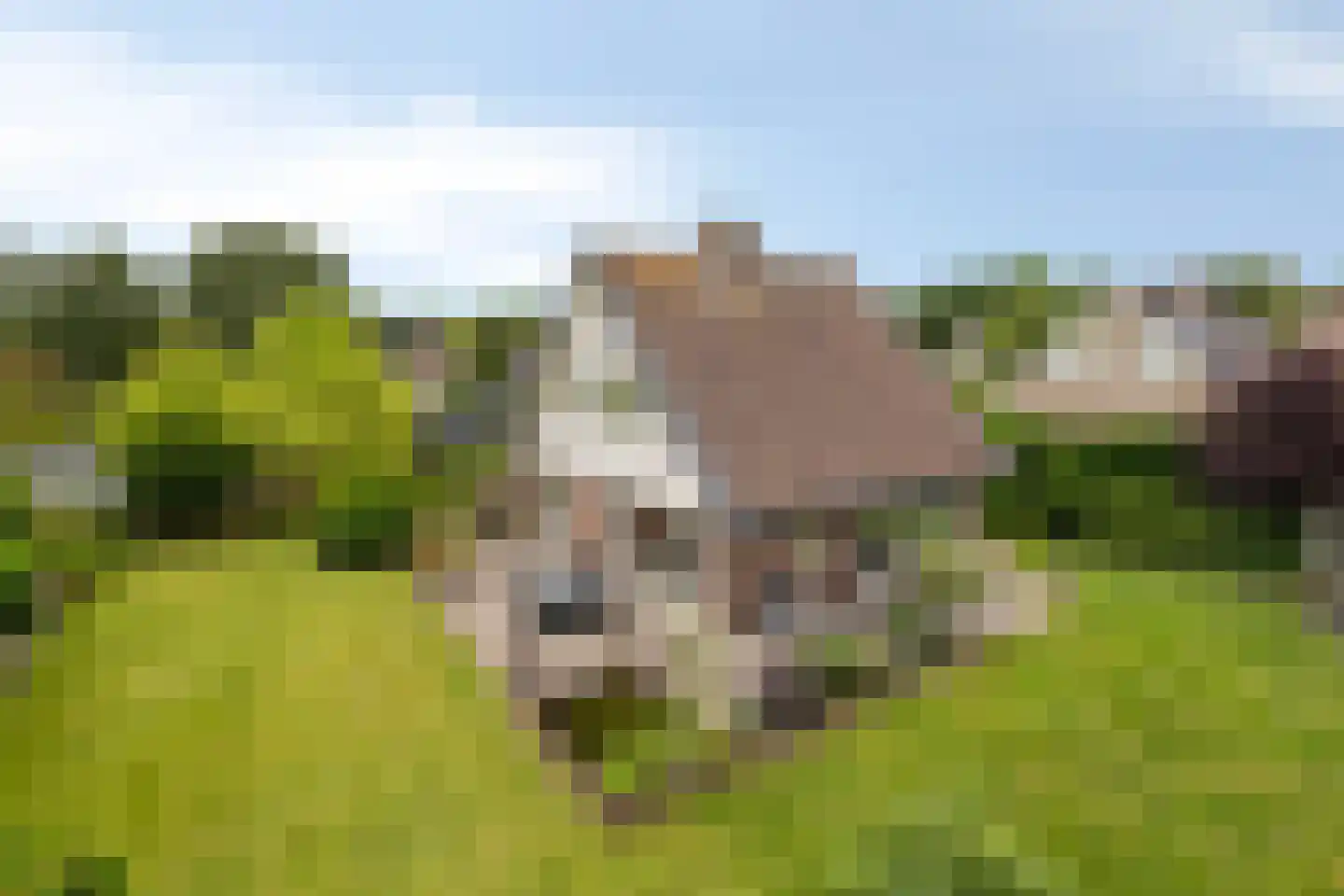 Boterpotten 5 Oudenbosch thumbnail 39