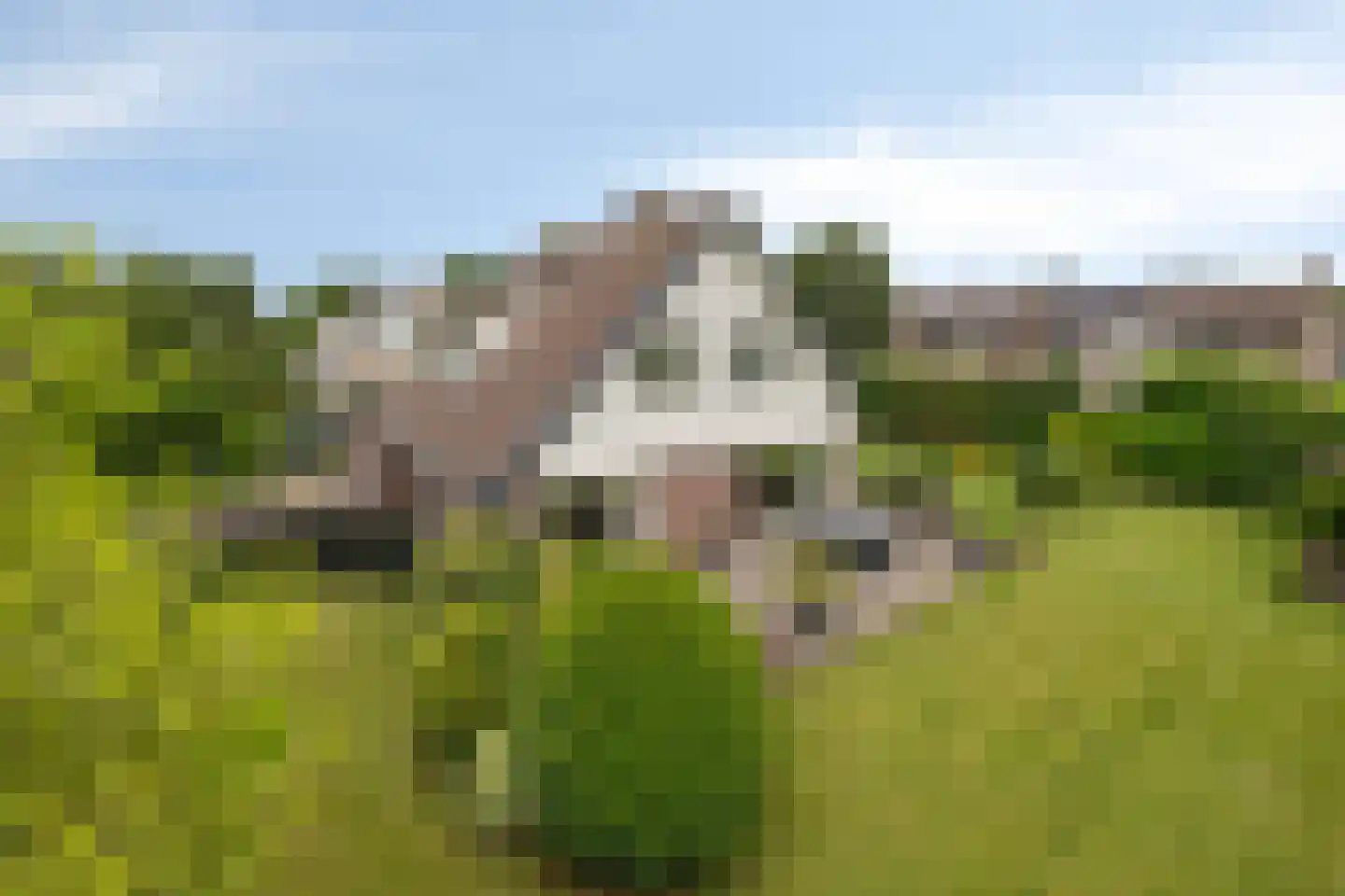 Boterpotten 5 Oudenbosch thumbnail 4
