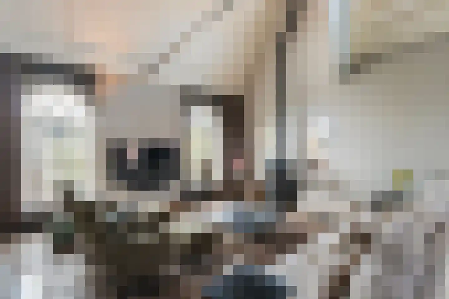 Botersloot 10 A Noordeloos thumbnail 16