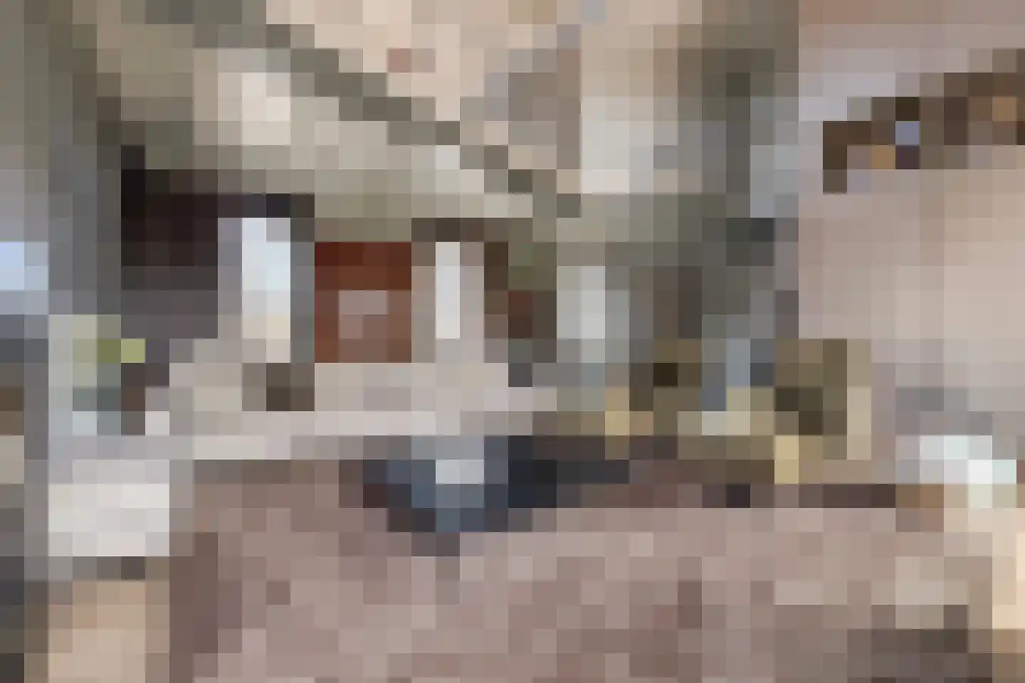 Botersloot 10 A Noordeloos thumbnail 19