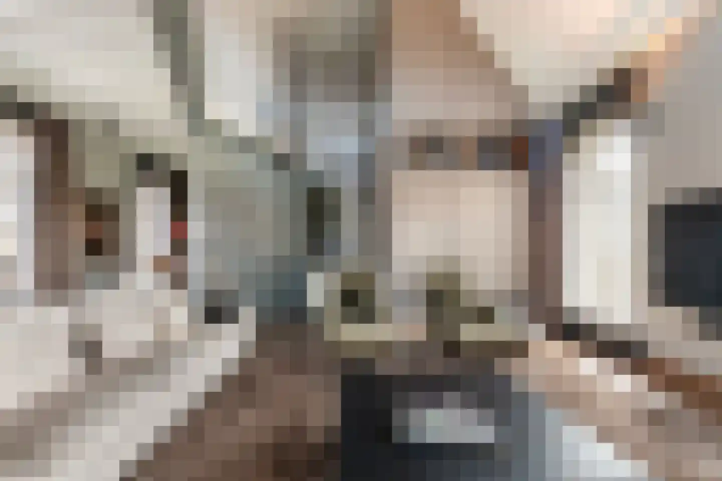 Botersloot 10 A Noordeloos thumbnail 20
