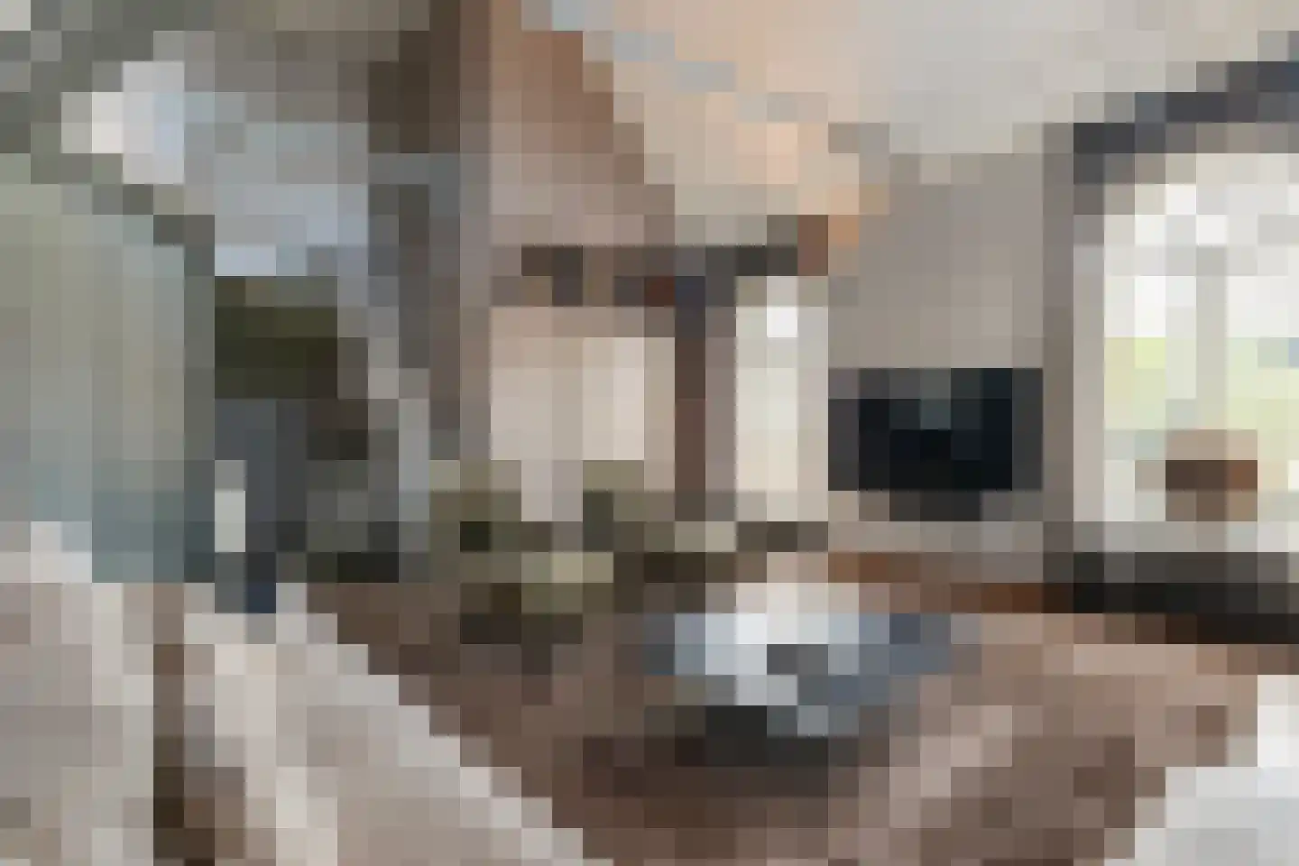 Botersloot 10 A Noordeloos thumbnail 21