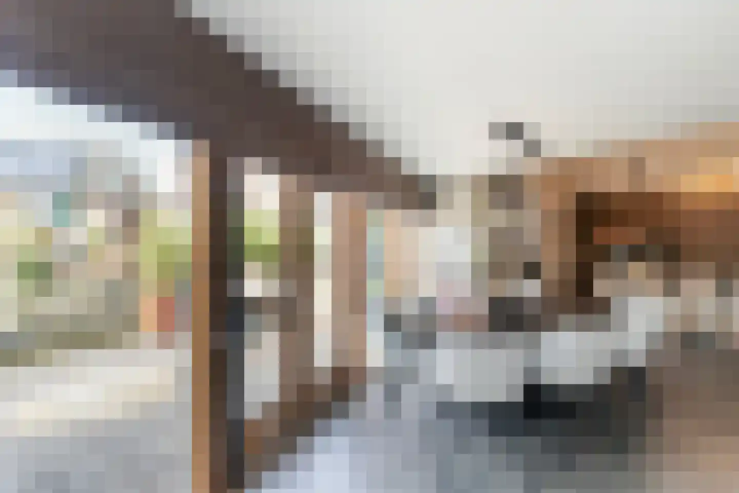 Botersloot 10 A Noordeloos thumbnail 25