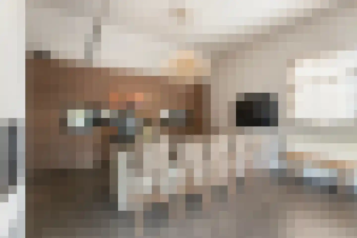 Botersloot 10 A Noordeloos thumbnail 31
