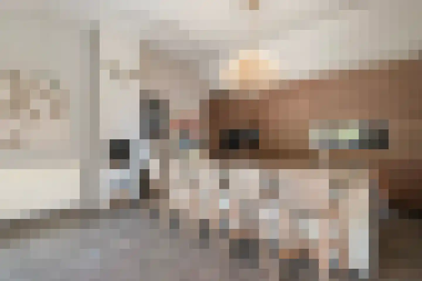 Botersloot 10 A Noordeloos thumbnail 32