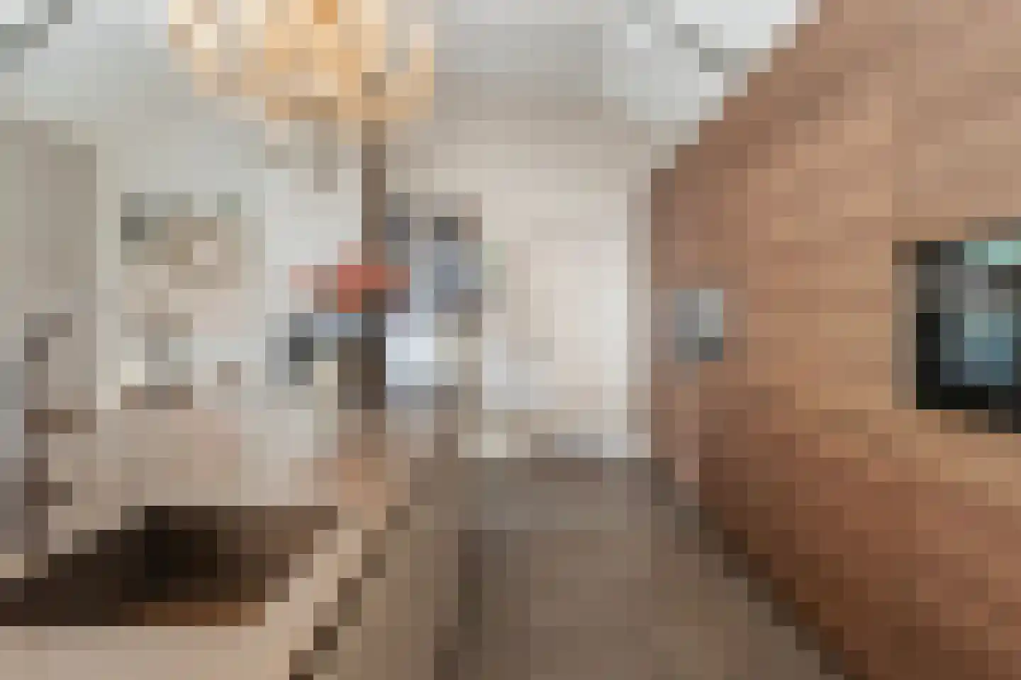 Botersloot 10 A Noordeloos thumbnail 34