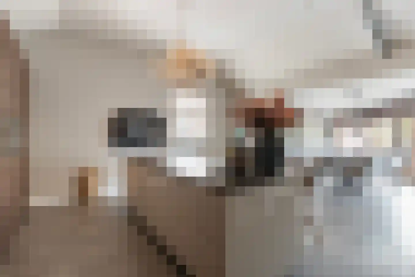 Botersloot 10 A Noordeloos thumbnail 35