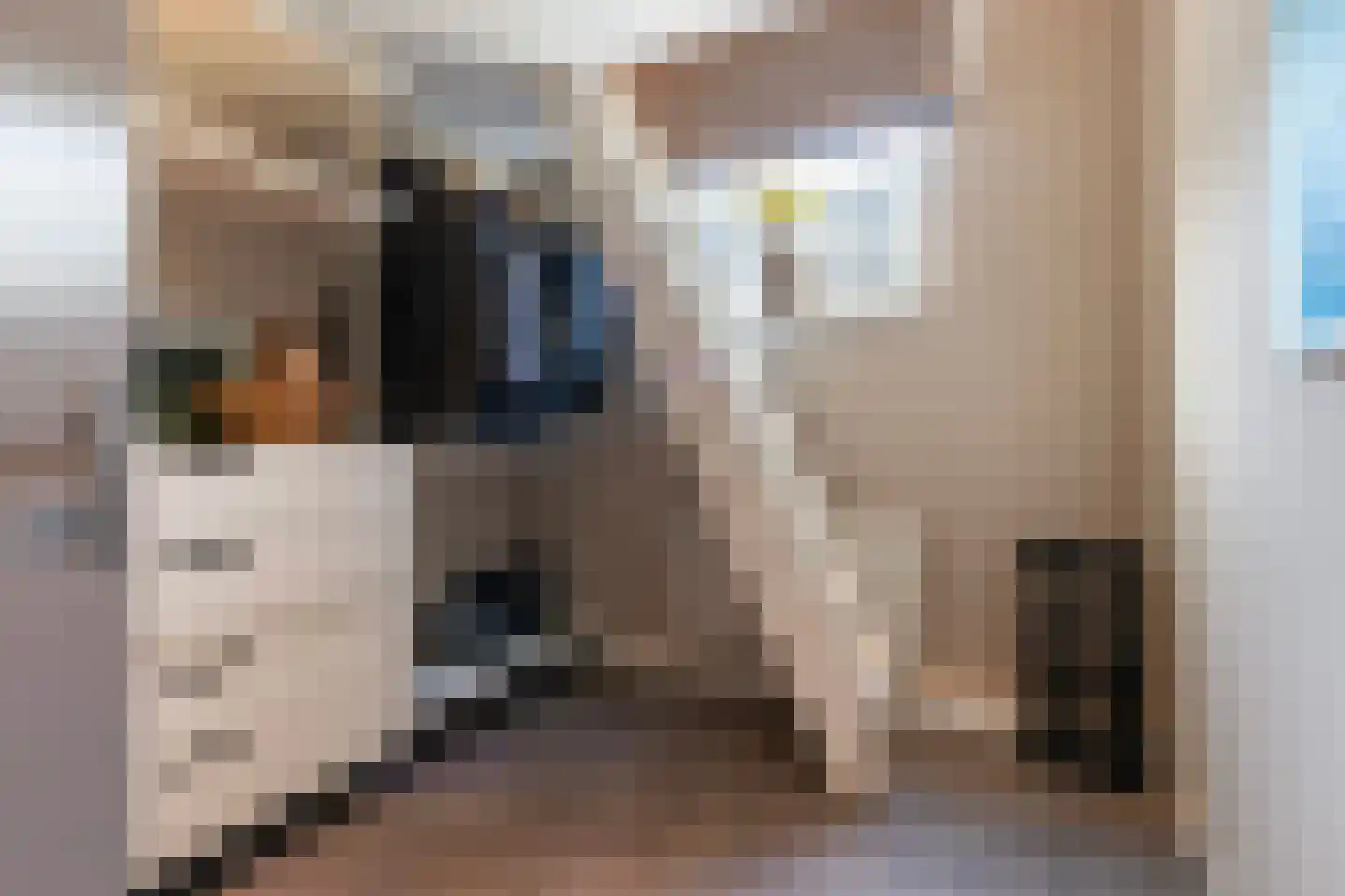 Botersloot 10 A Noordeloos thumbnail 40