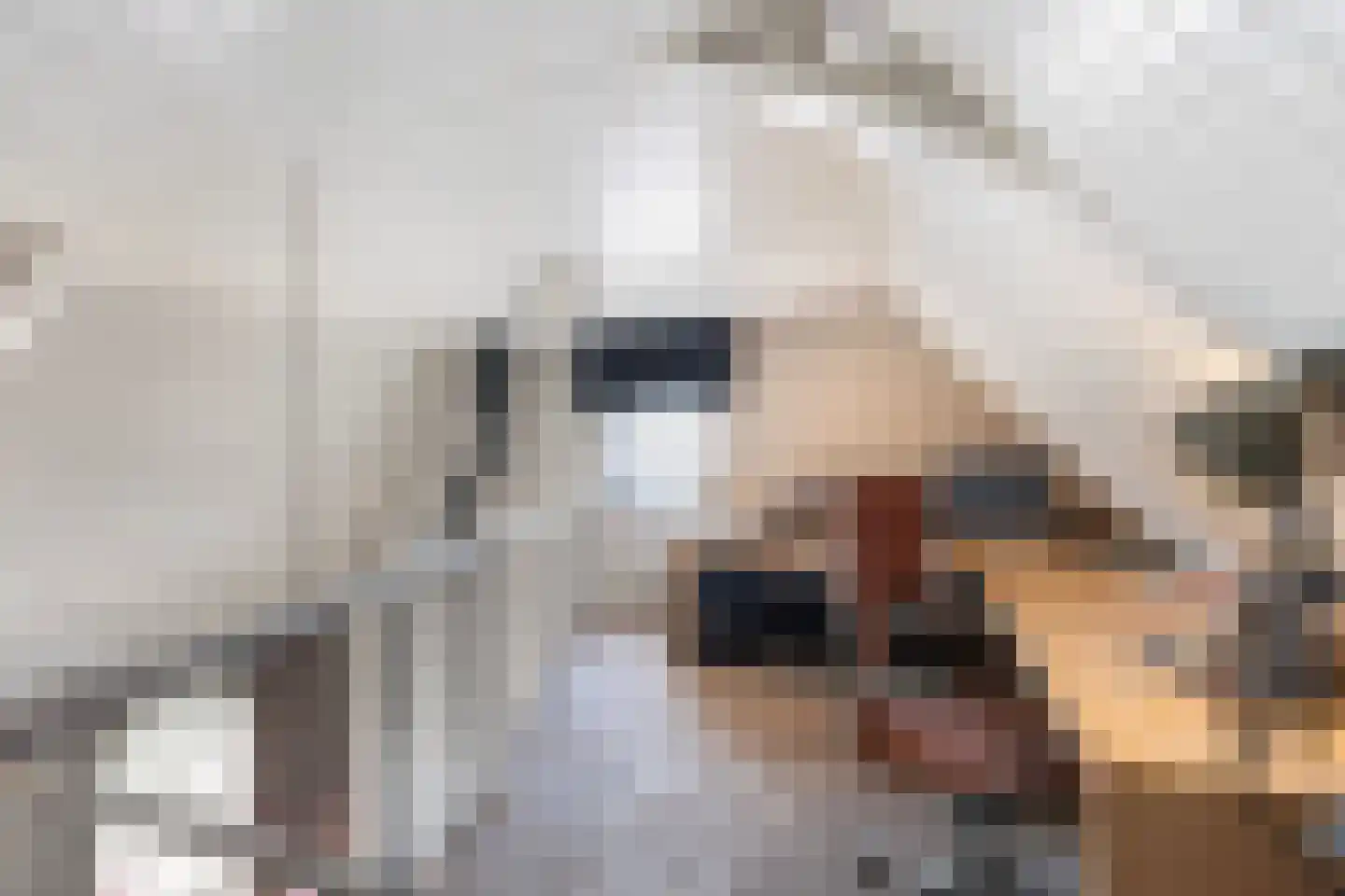 Botersloot 10 A Noordeloos thumbnail 42