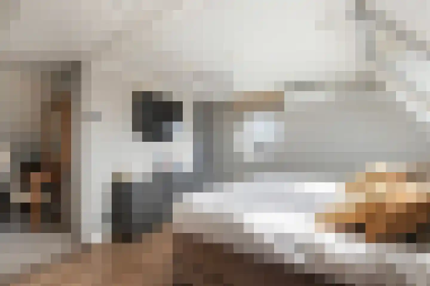 Botersloot 10 A Noordeloos thumbnail 44