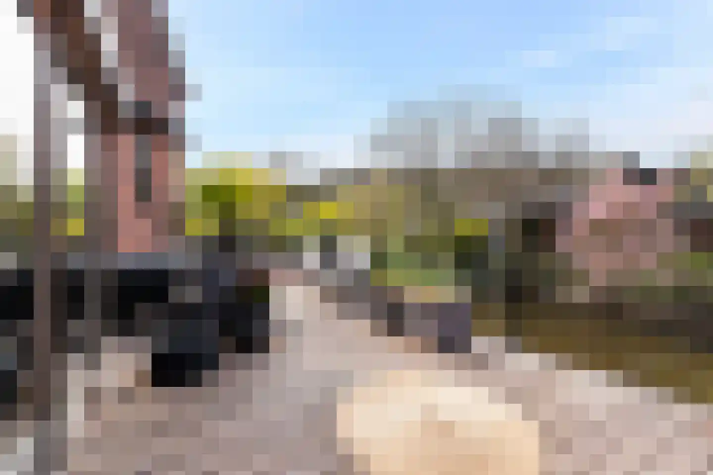 Botersloot 10 A Noordeloos thumbnail 56