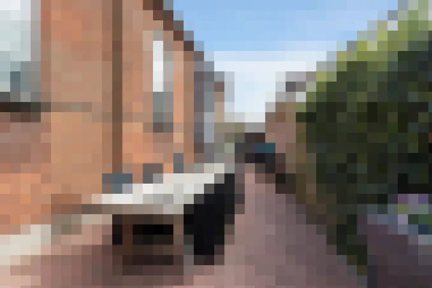 Botersloot 10 A Noordeloos thumbnail 61