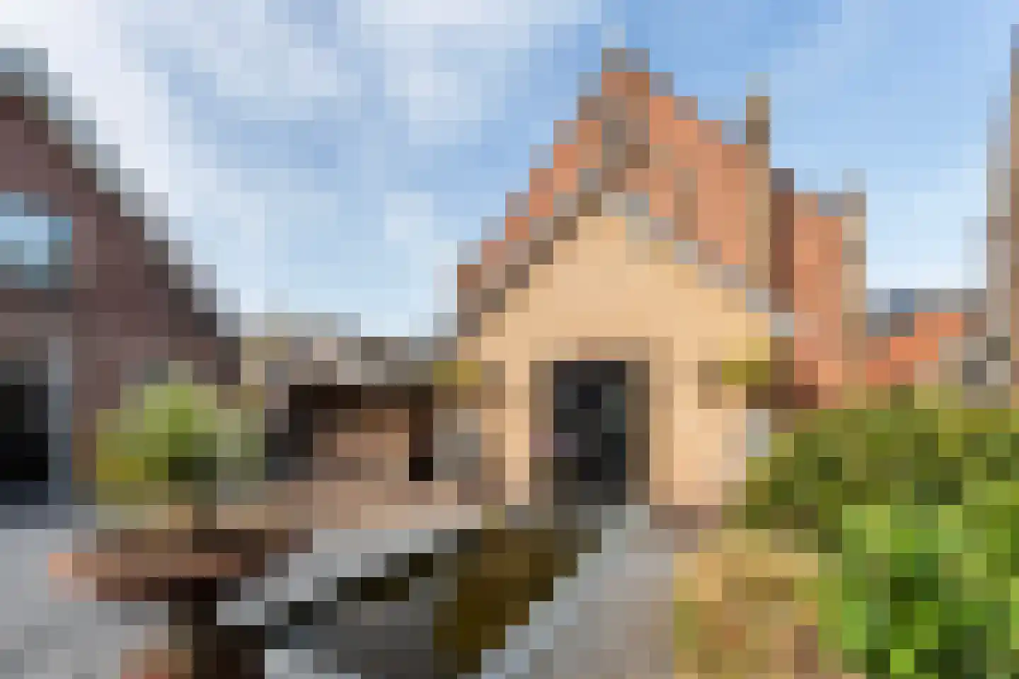 Botersloot 10 A Noordeloos thumbnail 9