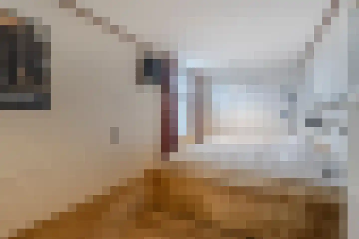 Botersloot 12 Noordeloos thumbnail 24