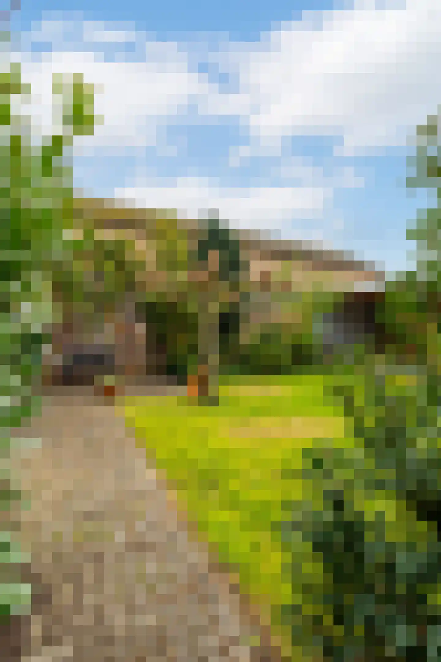 Botersloot 12 Noordeloos thumbnail 38