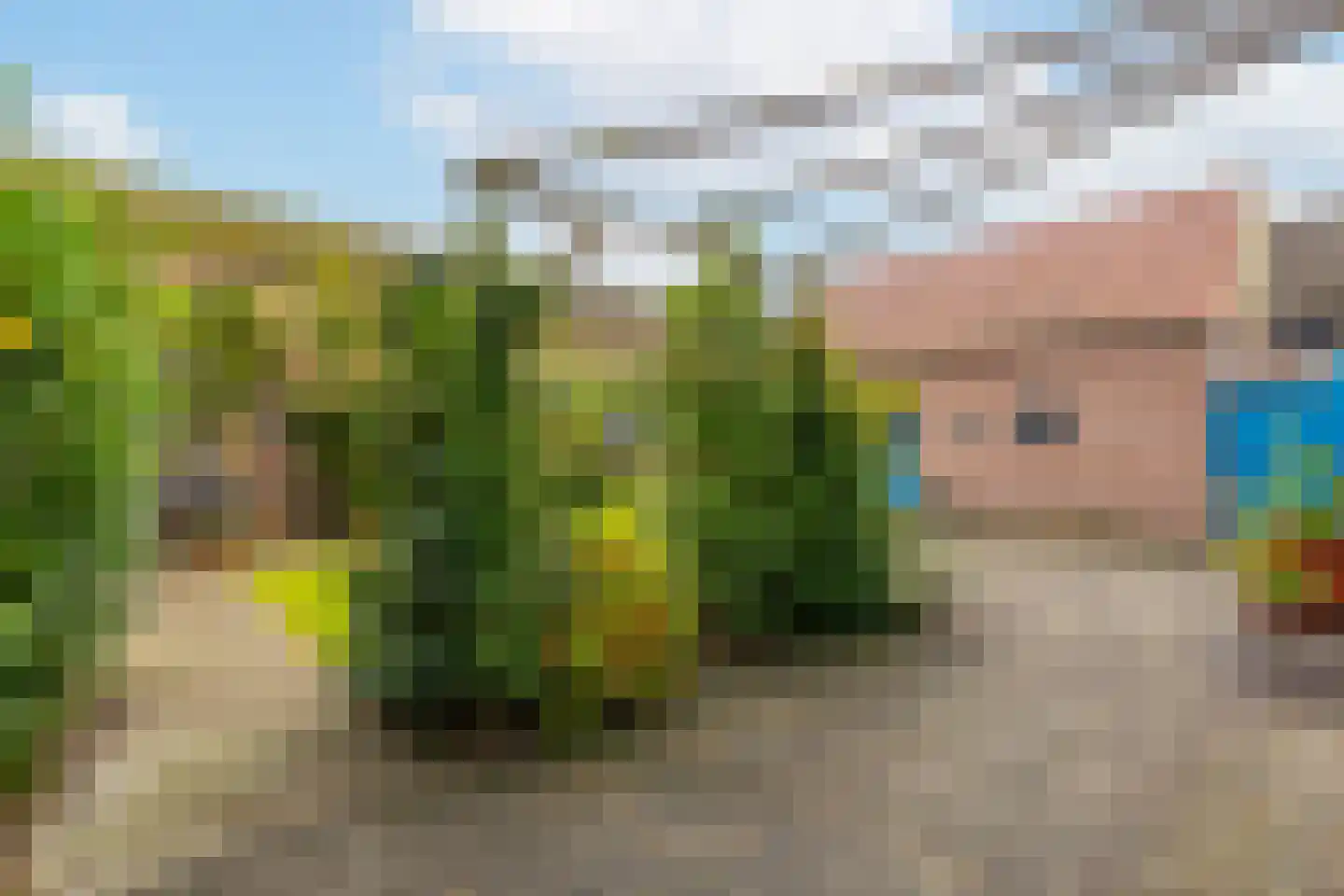 Botersloot 12 Noordeloos thumbnail 49