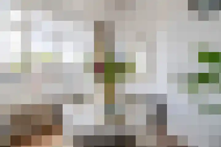 Botersloot 17 C Rotterdam thumbnail 8