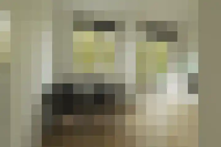 Botersloot 22 D Rotterdam thumbnail 13