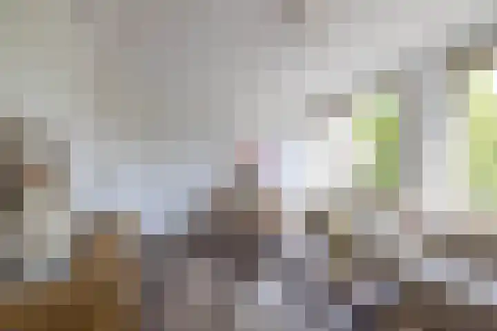 Botersloot 3 E Rotterdam thumbnail 6