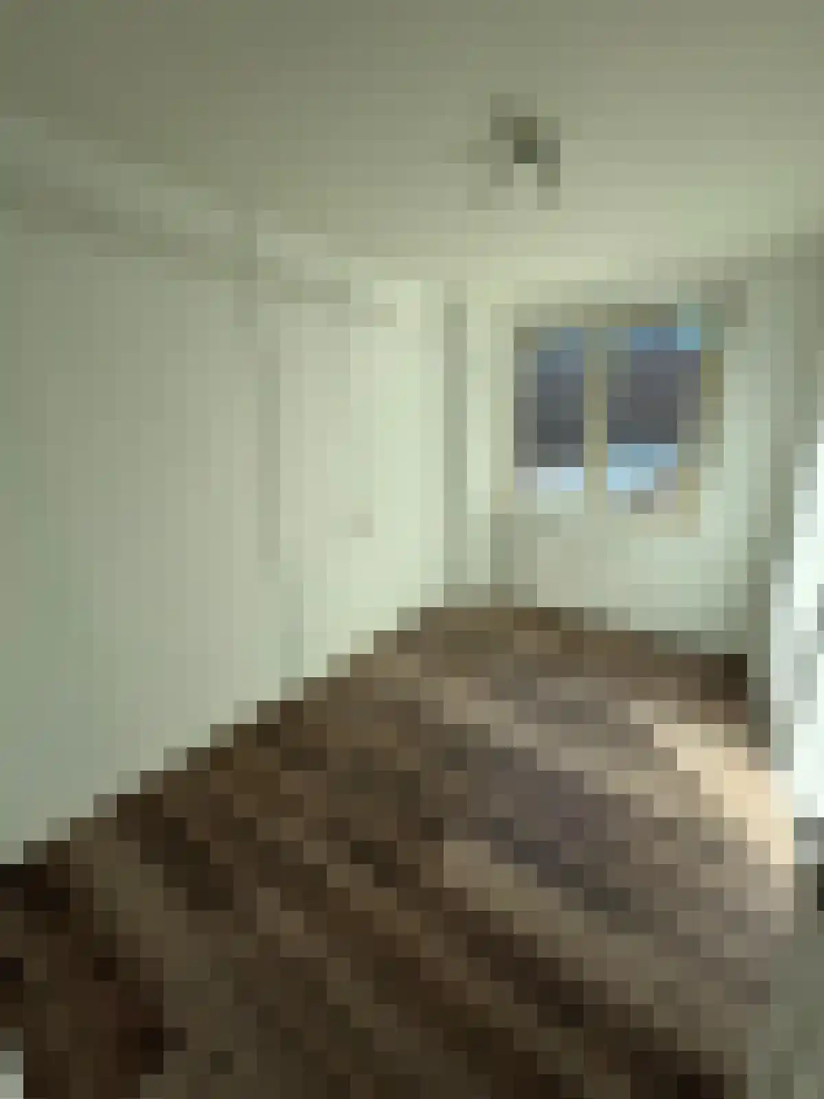 Botersloot 3 Rotterdam thumbnail 6