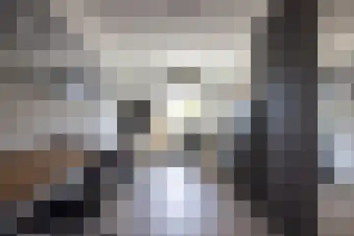 Botersloot 307 Rotterdam thumbnail 18