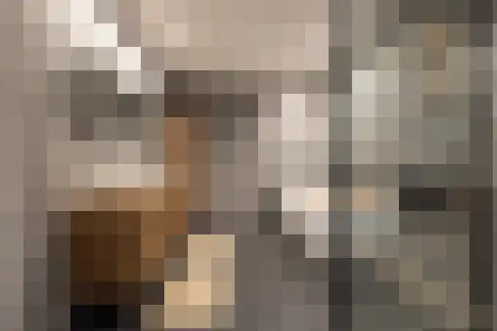 Botersloot 307 Rotterdam thumbnail 20