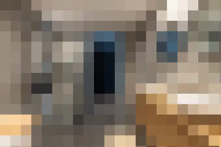 Botersloot 307 Rotterdam thumbnail 22
