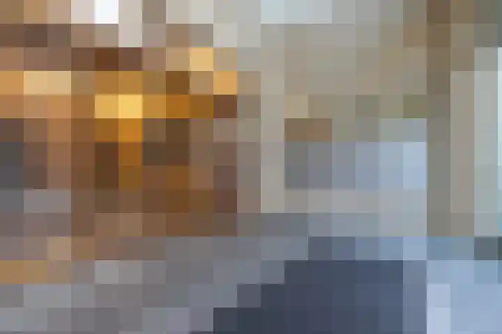 Botersloot 307 Rotterdam thumbnail 26