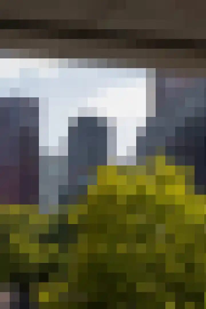 Botersloot 307 Rotterdam thumbnail 9