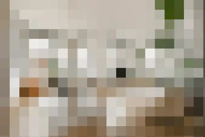 Botersloot 377 Rotterdam thumbnail 12